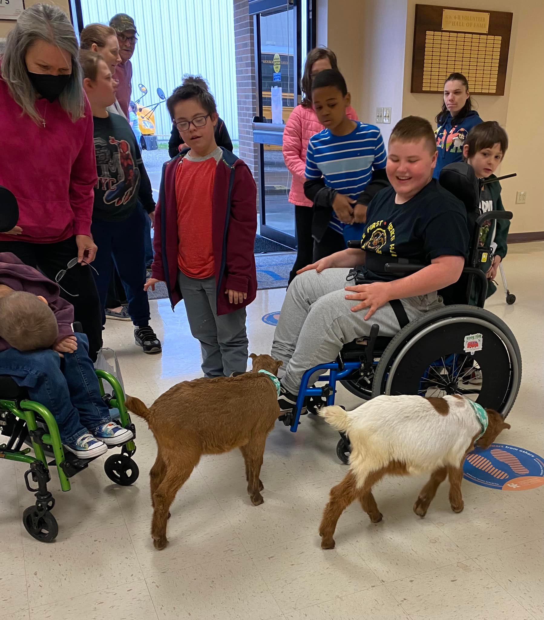 Children in wheelchairs play with baby goats