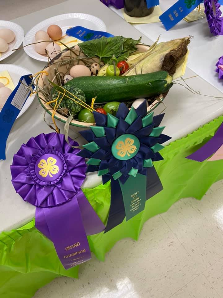 Bowl of eggs and vegetables with award ribbons