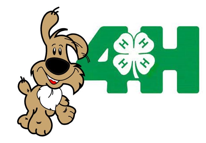 Cartoon dog and 4-H logo