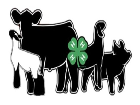 Illustration of farm animals