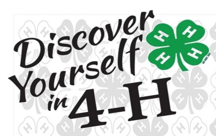 4-H clover emblem with text that reads, "Discover Yourself in 4-H."