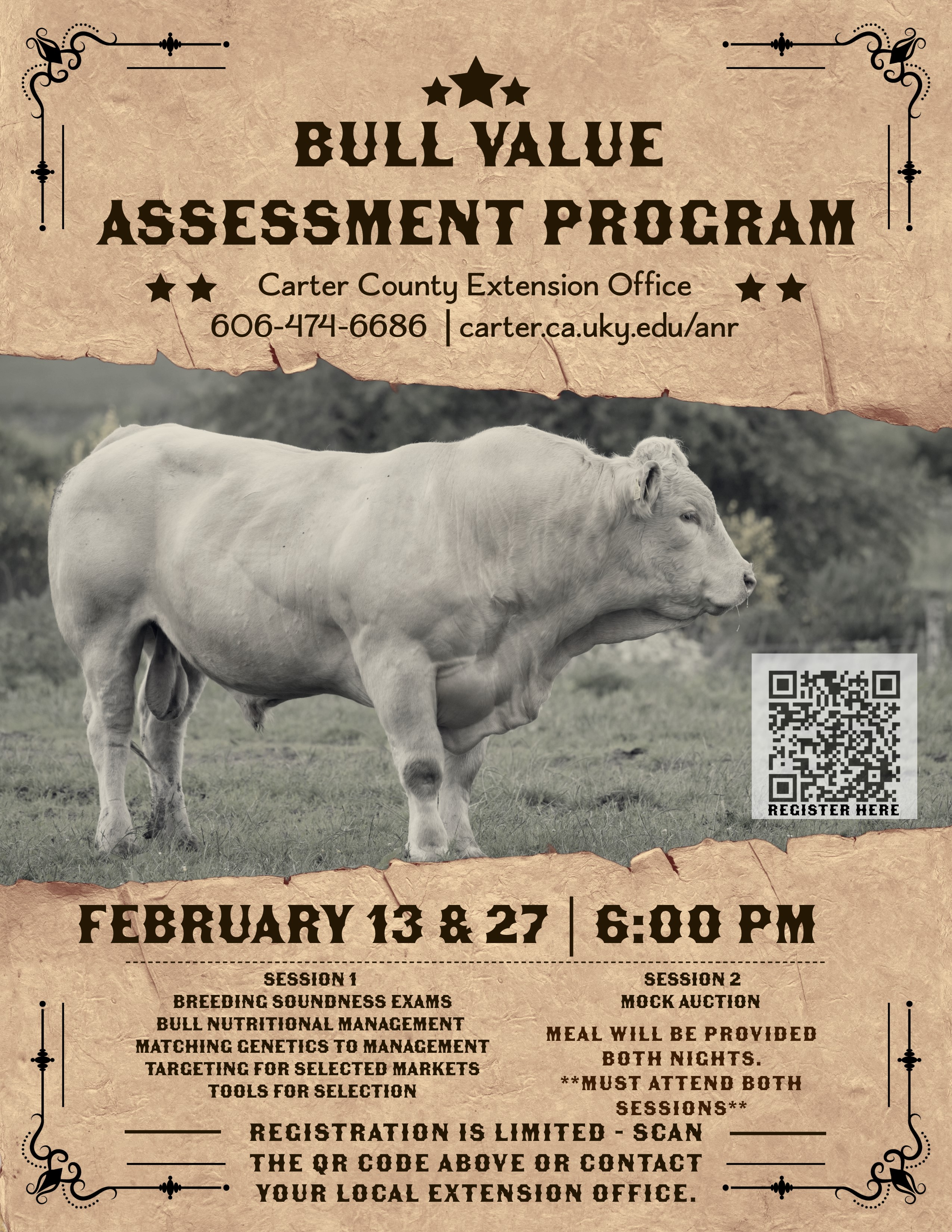 Bull Value Assessment Program Flyer