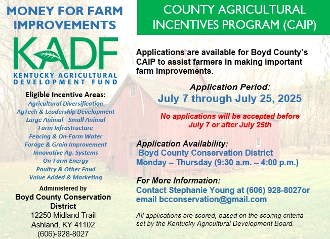 CAIP program Ad