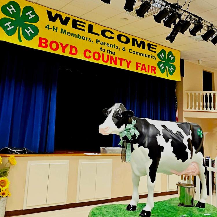  A cow statue standing in front of Boyd County 4h County Fair Sign