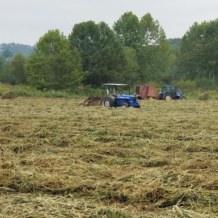  tractors in a hay field