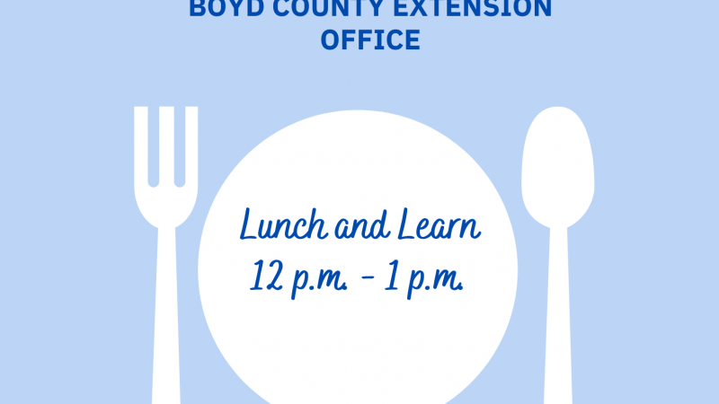 November Lunch and Learn